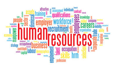 Informational Interview Report: Human Resource Manager