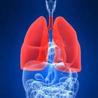 Informational Interview Report: Respiratory Therapist